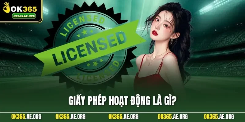 Giấy phép hoạt động là gì?