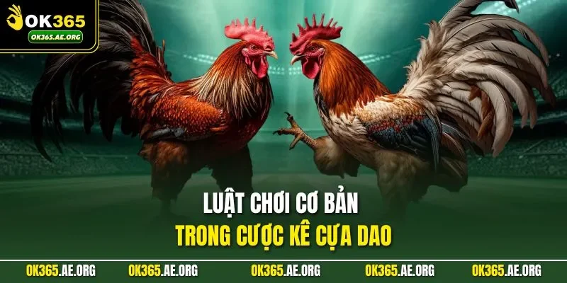 Luật chơi cơ bản trong cược kê cựa dao