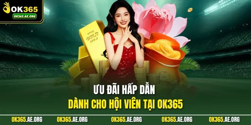 Ưu đãi hấp dẫn dành cho hội viên tại OK365