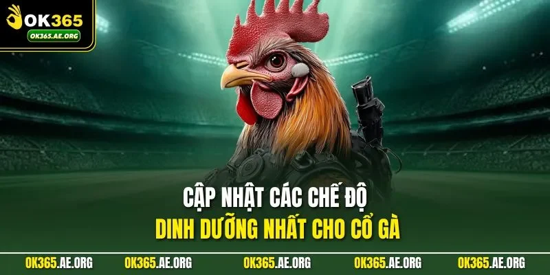 Cập nhật các chế độ dinh dưỡng nhất cho cổ gà