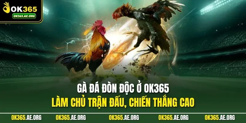 Gà đá đòn độc tại ok365 com