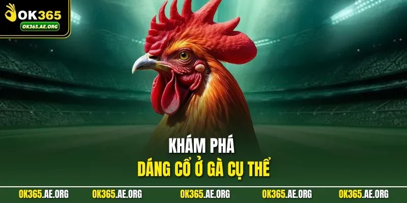 Khám phá dáng cổ ở gà cụ thể