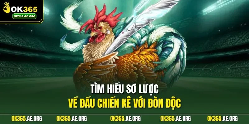 Tìm hiểu sơ lược về đấu chiến kê với đòn độc