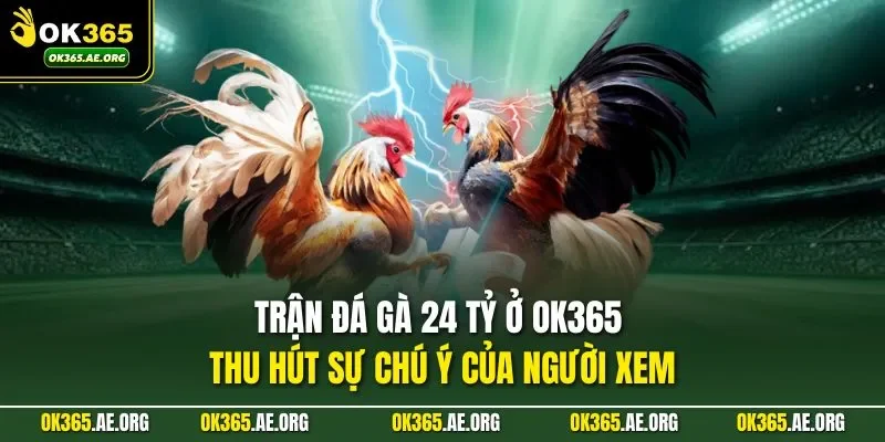 Trận đá gà 24 tỷ ở ok365 đã nhanh chóng
